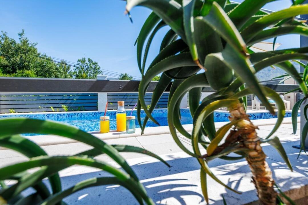 Villa "Amber" Luxury Apartments With A Pool Mlini Exteriér fotografie